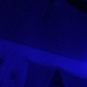 Meet your Posher, Perla